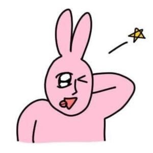 Meet your Posher, Lana